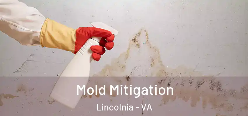 Mold Mitigation Lincolnia - VA