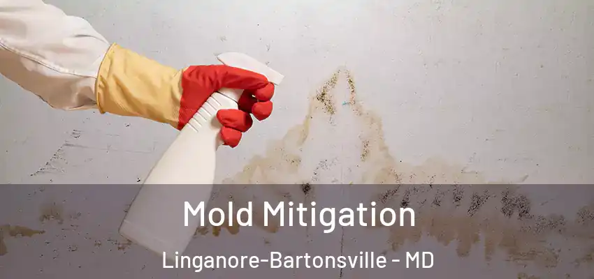 Mold Mitigation Linganore-Bartonsville - MD