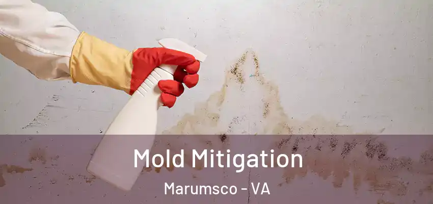 Mold Mitigation Marumsco - VA