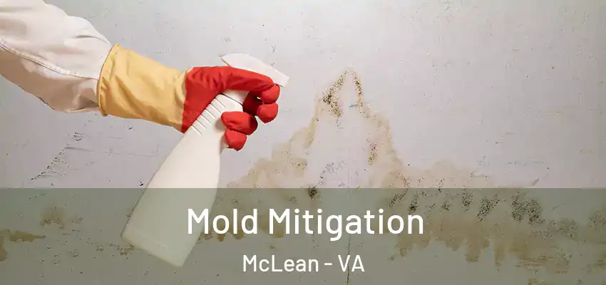  Mold Mitigation McLean - VA