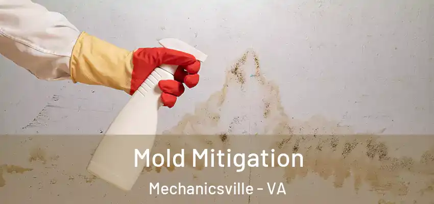 Mold Mitigation Mechanicsville - VA