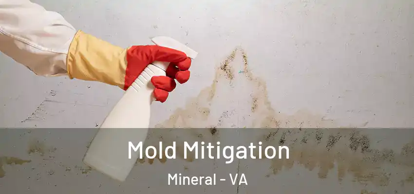  Mold Mitigation Mineral - VA