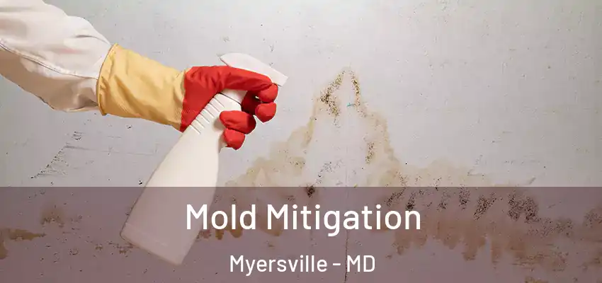 Mold Mitigation Myersville - MD