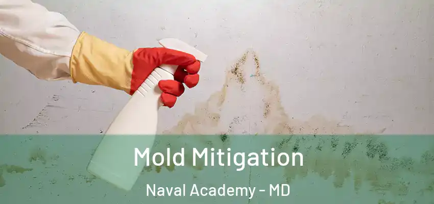  Mold Mitigation Naval Academy - MD