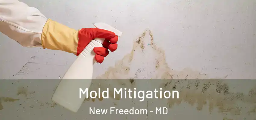  Mold Mitigation New Freedom - MD