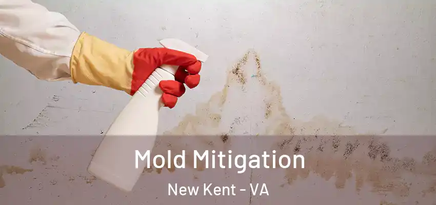  Mold Mitigation New Kent - VA
