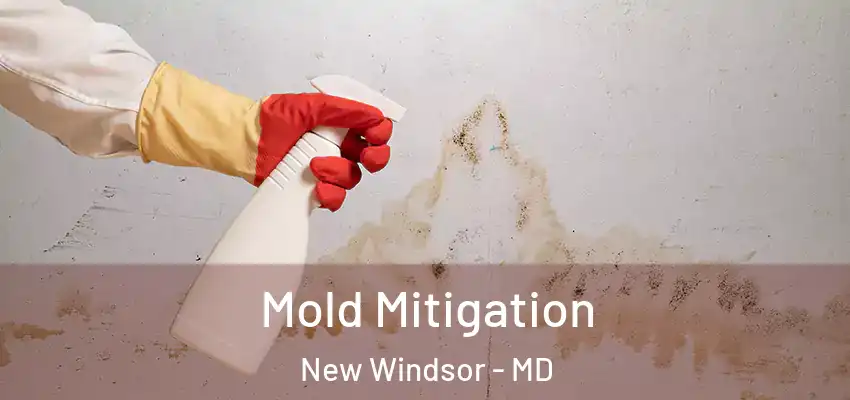  Mold Mitigation New Windsor - MD