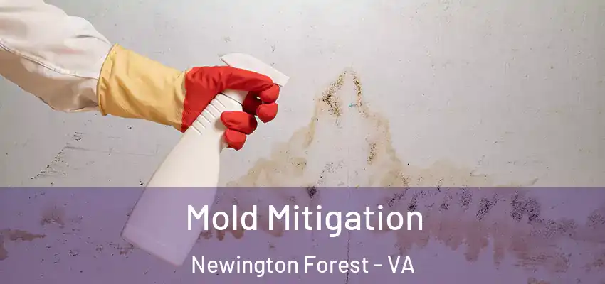 Mold Mitigation Newington Forest - VA
