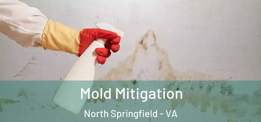 Mold Mitigation North Springfield - VA