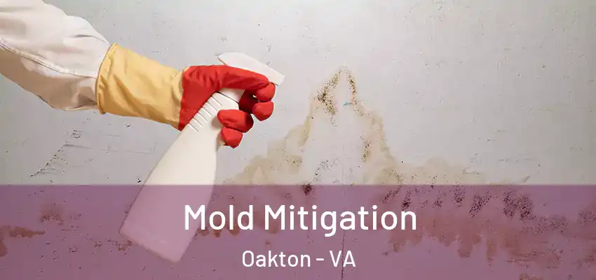  Mold Mitigation Oakton - VA