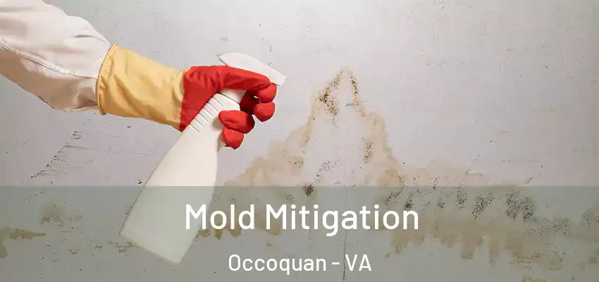 Mold Mitigation Occoquan - VA