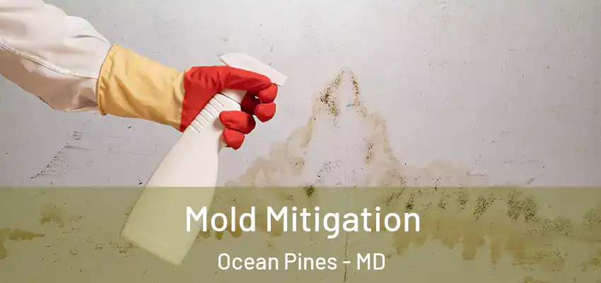  Mold Mitigation Ocean Pines - MD