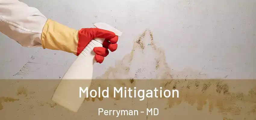  Mold Mitigation Perryman - MD