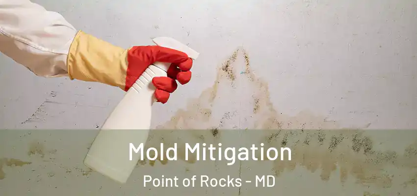 Mold Mitigation Point of Rocks - MD