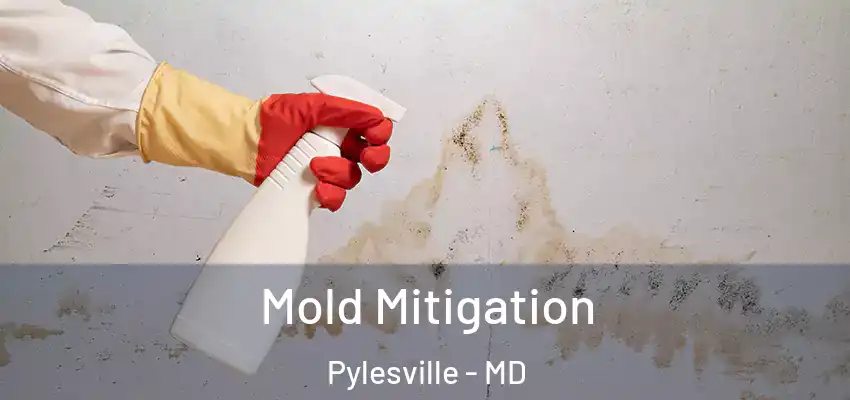  Mold Mitigation Pylesville - MD