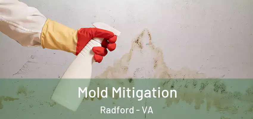  Mold Mitigation Radford - VA