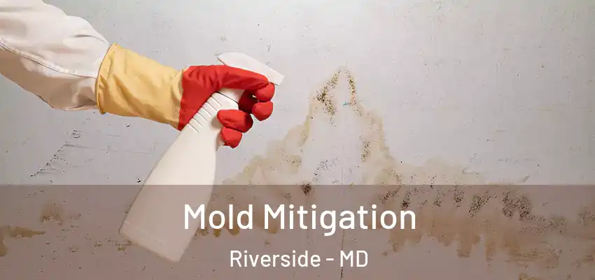  Mold Mitigation Riverside - MD