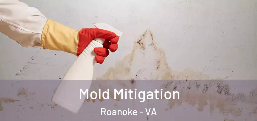  Mold Mitigation Roanoke - VA
