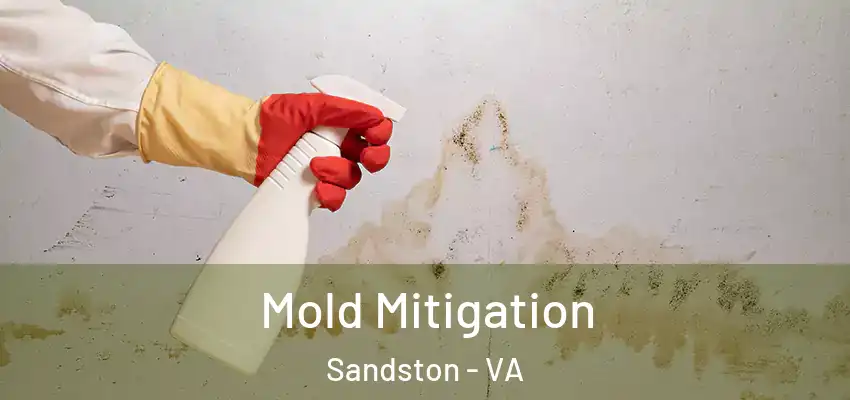 Mold Mitigation Sandston - VA