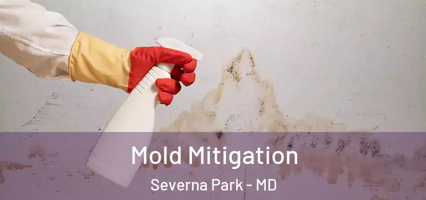 Mold Mitigation Severna Park - MD