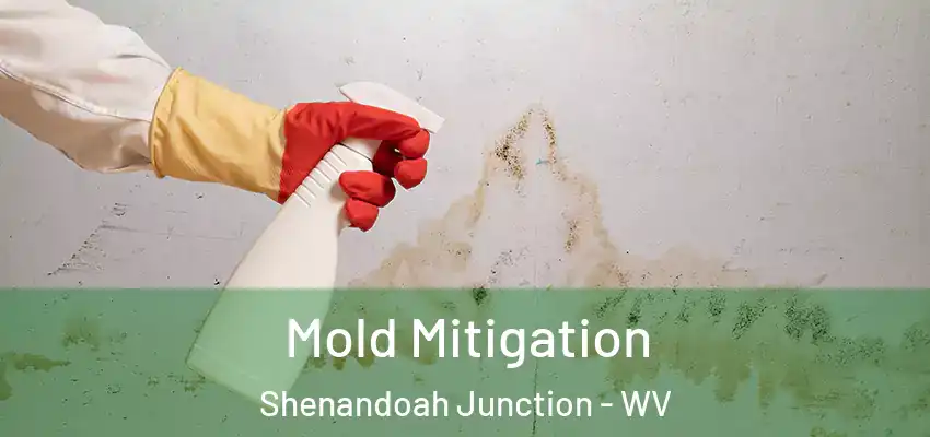  Mold Mitigation Shenandoah Junction - WV