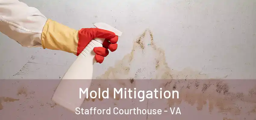 Mold Mitigation Stafford Courthouse - VA