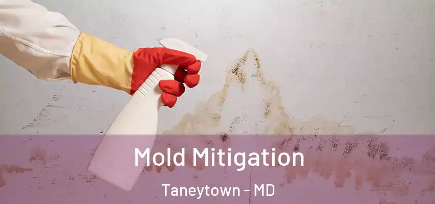 Mold Mitigation Taneytown - MD
