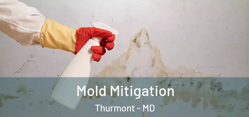  Mold Mitigation Thurmont - MD