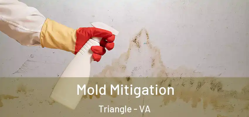  Mold Mitigation Triangle - VA