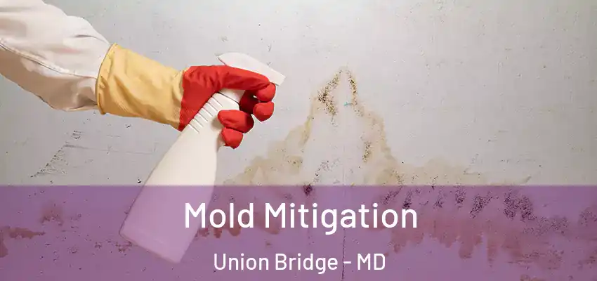  Mold Mitigation Union Bridge - MD