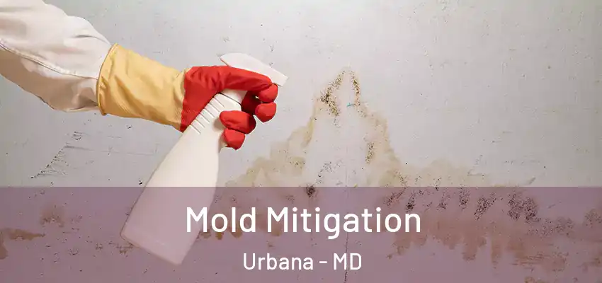  Mold Mitigation Urbana - MD
