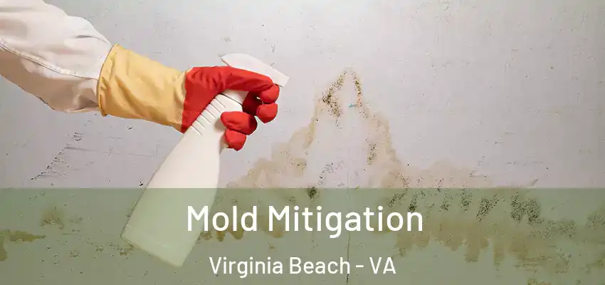 Mold Mitigation Virginia Beach - VA