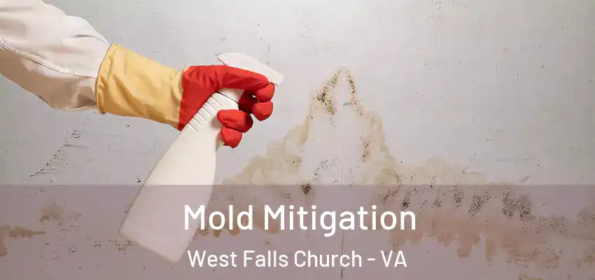 Mold Mitigation West Falls Church - VA
