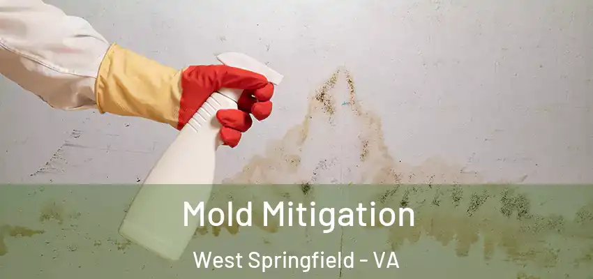  Mold Mitigation West Springfield - VA