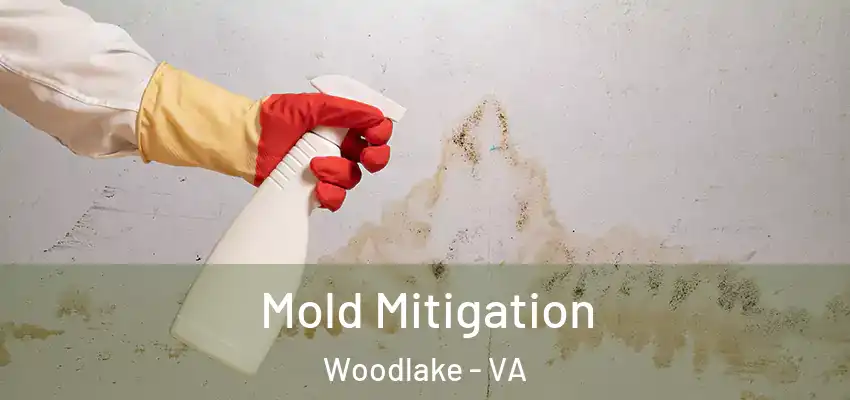 Mold Mitigation Woodlake - VA