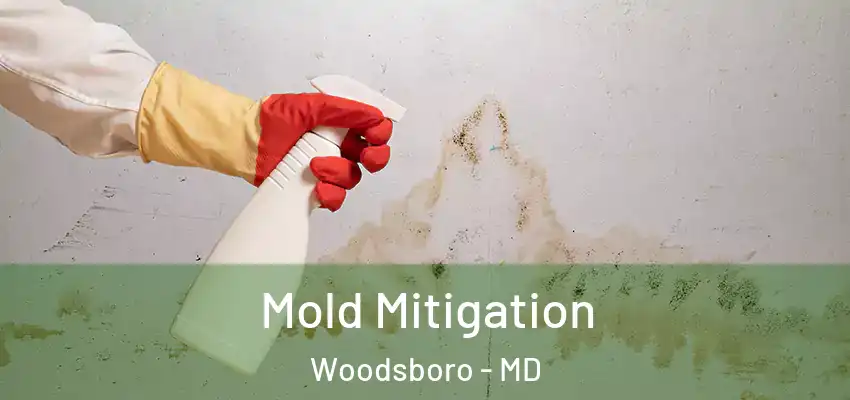  Mold Mitigation Woodsboro - MD