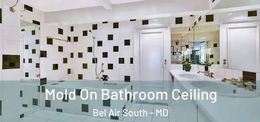 Mold On Bathroom Ceiling Bel Air South - MD