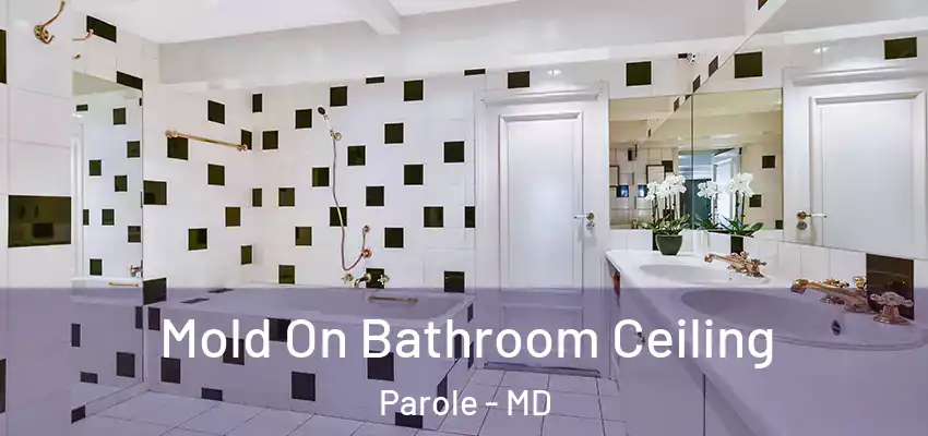 Mold On Bathroom Ceiling Parole - MD