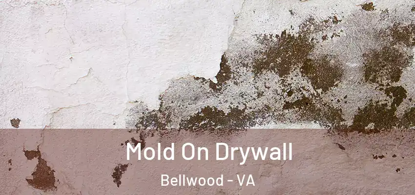 Mold On Drywall Bellwood - VA