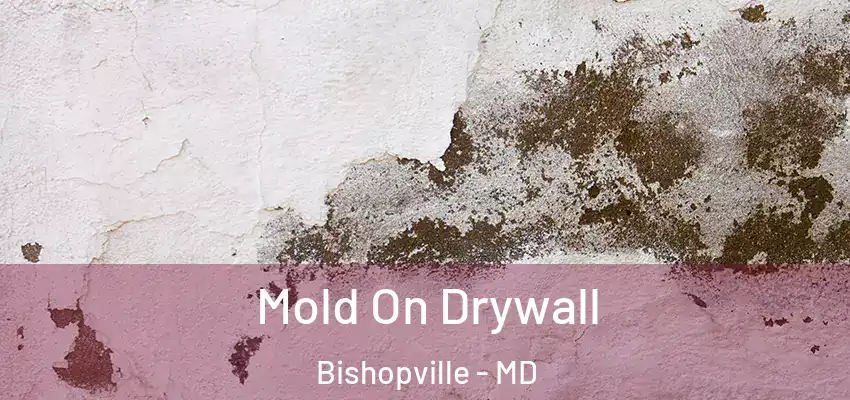Mold On Drywall Bishopville - MD