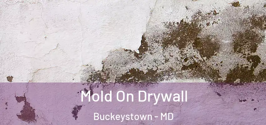  Mold On Drywall Buckeystown - MD