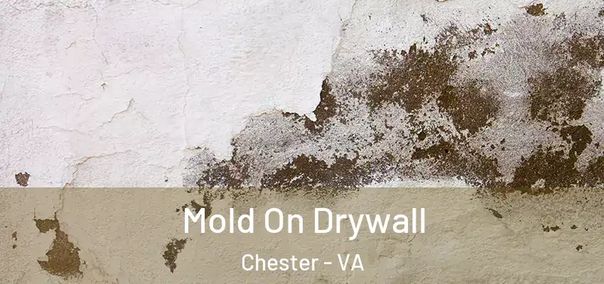  Mold On Drywall Chester - VA