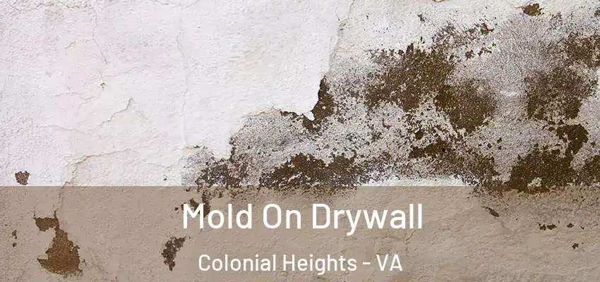 Mold On Drywall Colonial Heights - VA