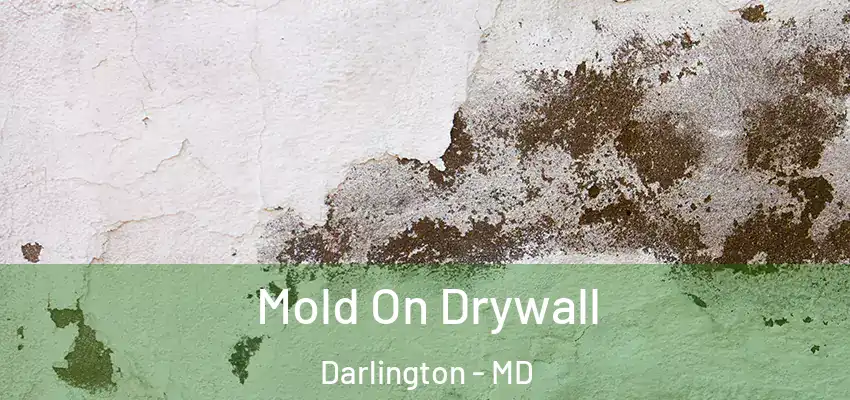 Mold On Drywall Darlington - MD