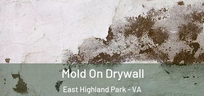 Mold On Drywall East Highland Park - VA