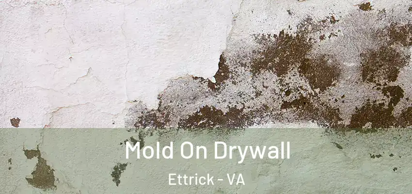 Mold On Drywall Ettrick - VA