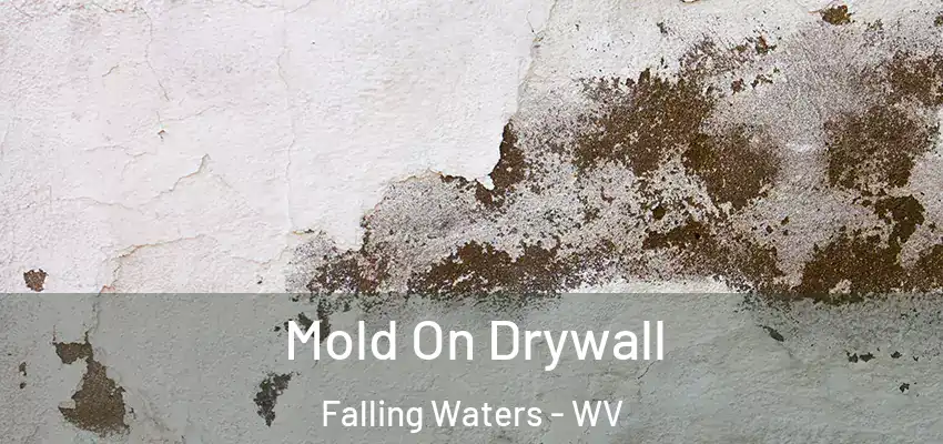  Mold On Drywall Falling Waters - WV