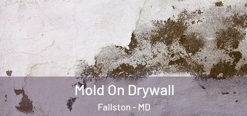 Mold On Drywall Fallston - MD