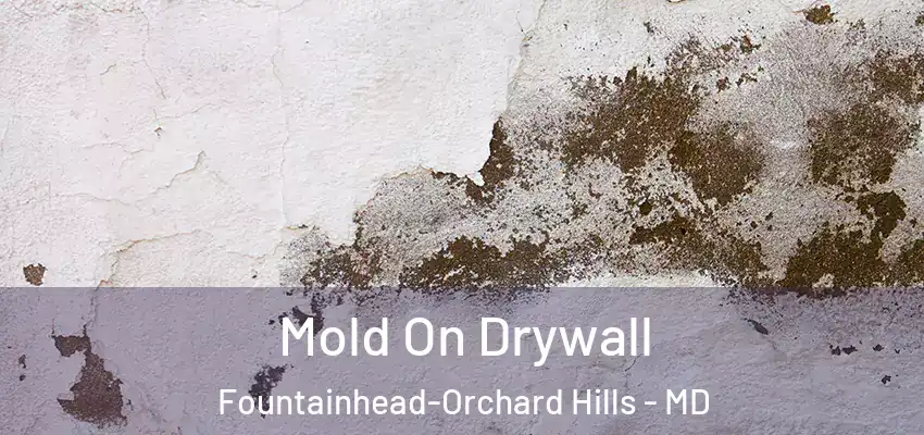  Mold On Drywall Fountainhead-Orchard Hills - MD
