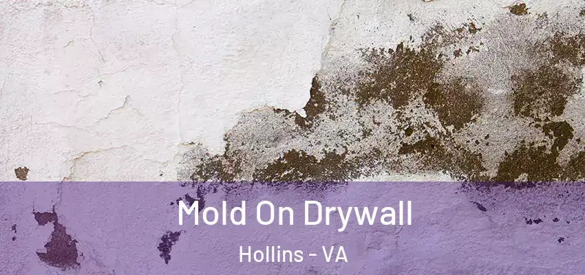  Mold On Drywall Hollins - VA